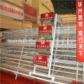 high quality factory layer chicken battery cage